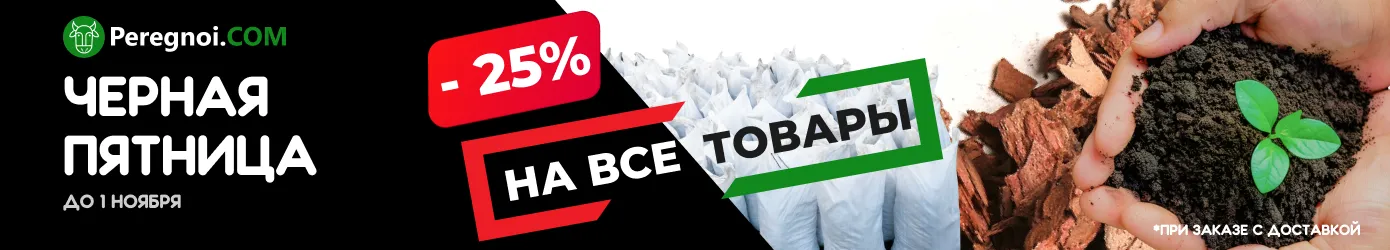 Черная пятница 2025 Черная пятница 2025