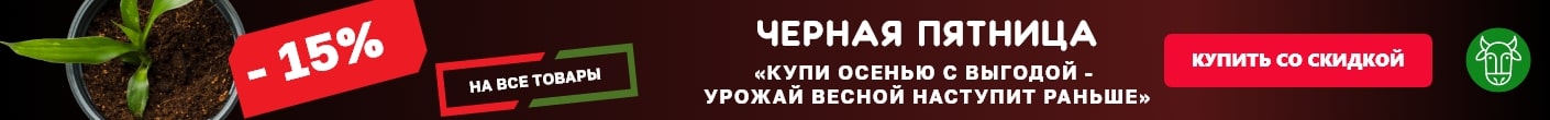 Черная пятница 2023