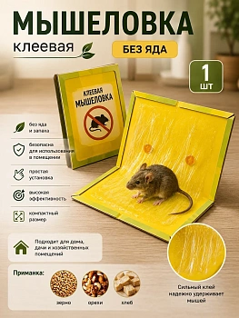 Клеевая мышеловка
